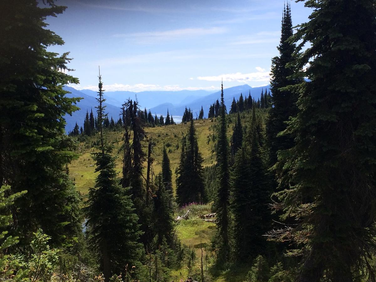 Alpenrose Revelstoke Bed & Breakfast Ngoại thất bức ảnh