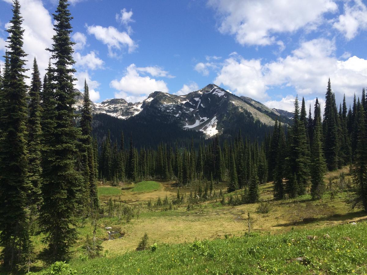Alpenrose Revelstoke Bed & Breakfast Ngoại thất bức ảnh